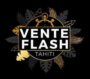 Logo Vente Flash v11.jpg