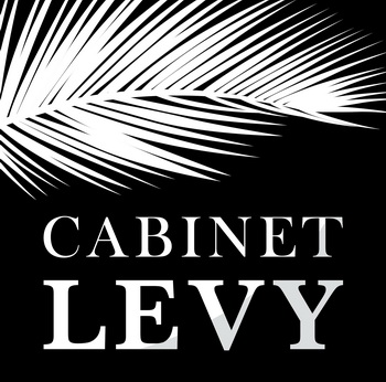 Cabinet LEVY logo final HD RVB.jpg