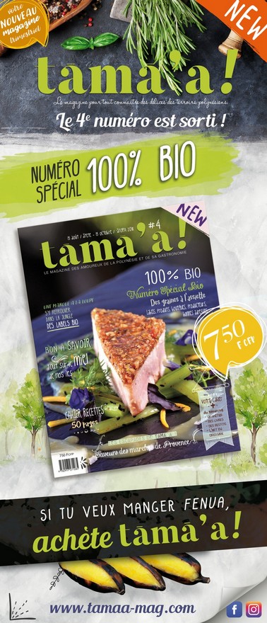 Tamaa-Newsletter-04.jpg